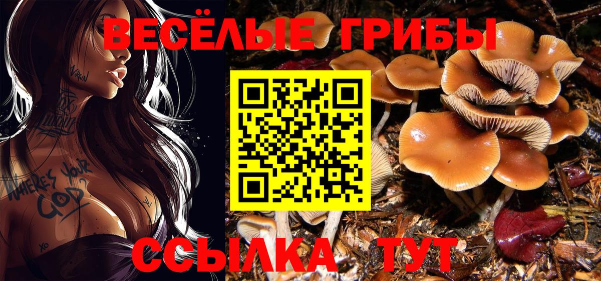 Псилоцибиновые грибы ЛСД Новошахтинск
